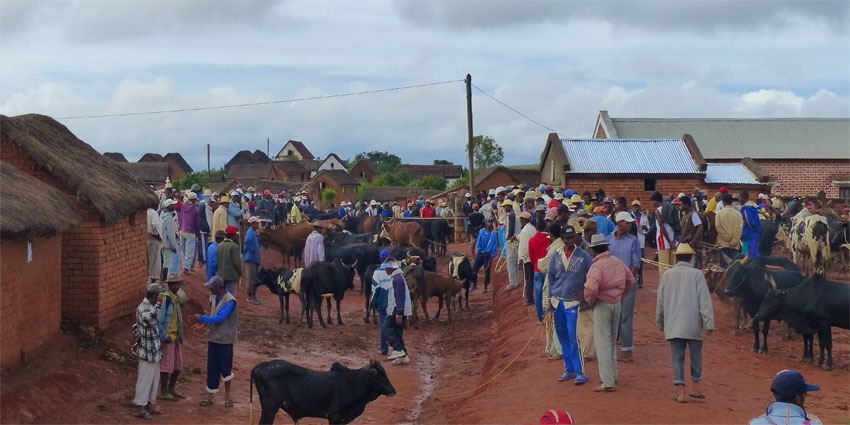 Les marchés et l’artisanat malgache.