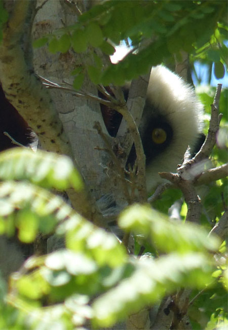 Randonnées et trek à Madagascar.