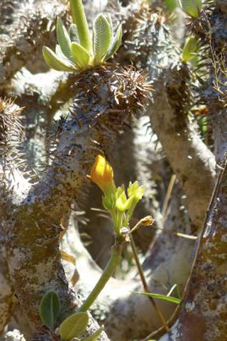 Parcs nationaux et réserves naturelles à Madagascar