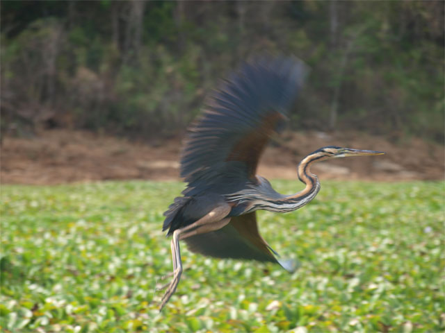 Parcs nationaux et réserves naturelles à Madagascar