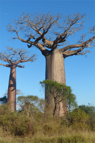 Parcs nationaux et réserves naturelles