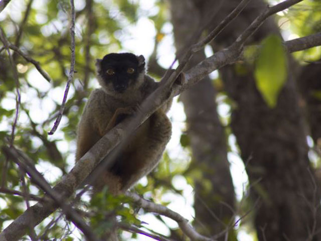 Parcs nationaux et réserves naturelles à Madagascar