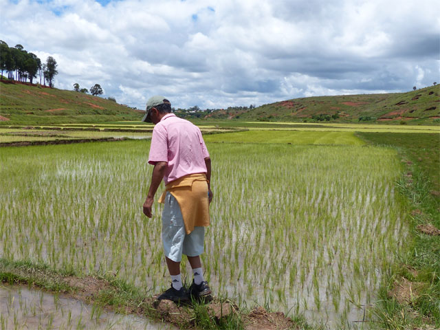 Randonnées et trek â Madagascar.