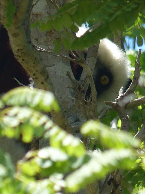 Randonnées et trek â Madagascar.