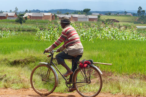 Randonnées et trek â Madagascar.