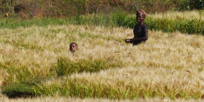 VTT et randonnées équestres à Madagascar.