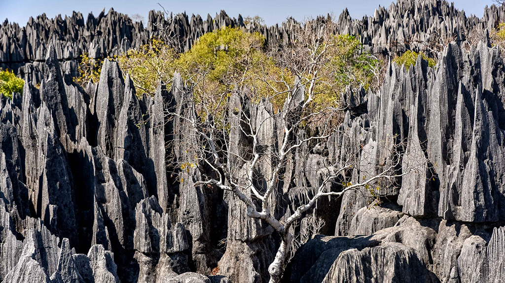 A la découverte des Tsingy de l'Ankarana et de Bemaraha