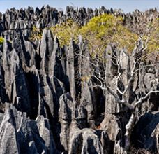 Articles et actualités à Madagascar.