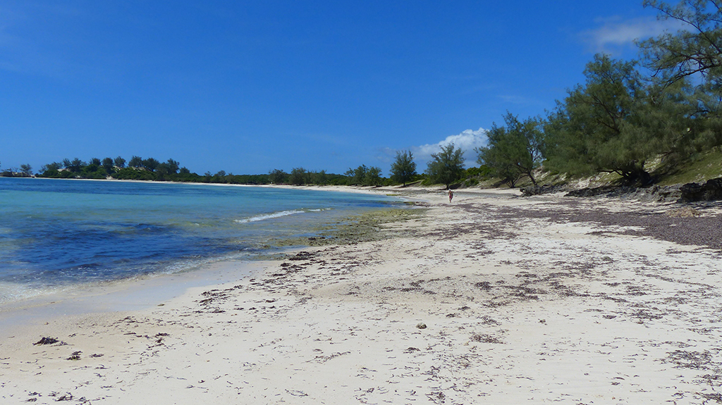 Situation concernant le coronavirus Covid-19 pour Madagascar