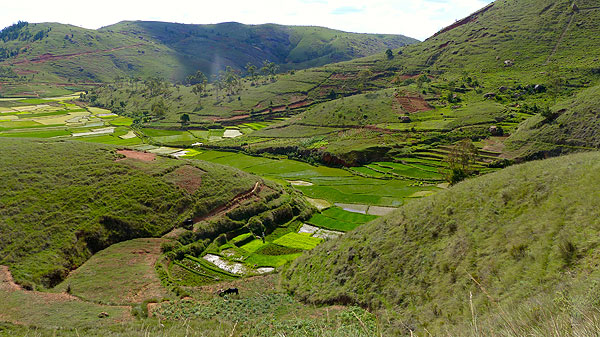 Le pays des collines à Madagascar.