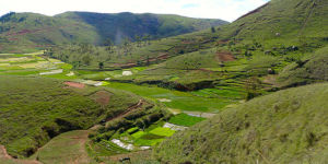 Les Hautes Terres Centrales - Madagascar