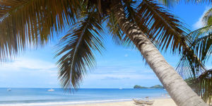 L’île de Nosy Be - Madagascar