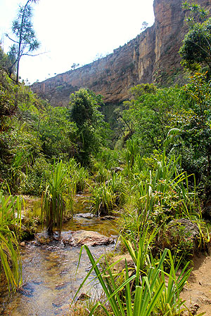 Massifs et plateaux de Madagascar.