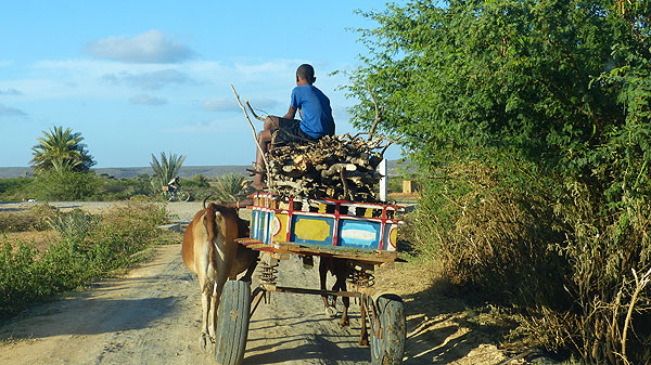 La côte Sud Ouest de Madagascar.