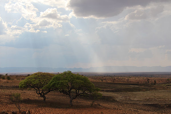 Les plateaux de Madagascar.