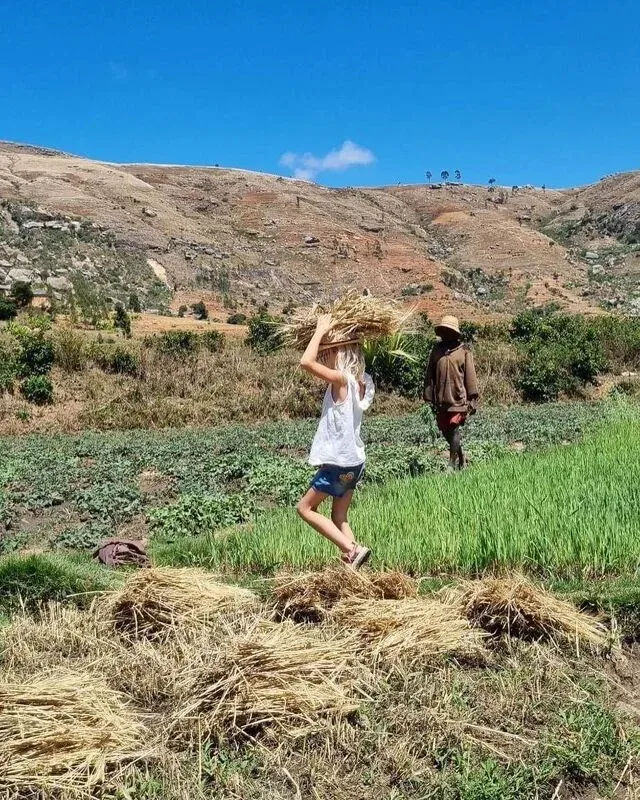 Voyageuse traversent un champ de riz en terrasses dans un paysage montagneux malgache